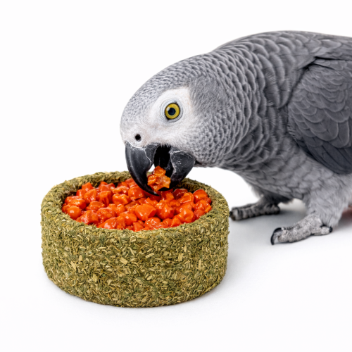 Tunnellets Gourmands à la Carotte et au Persil – friandise irrésistible pour tous les perroquets de ParrotPlanet.fr