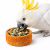 Tunnellets Gourmands fourrés à la Carotte et aux Grains – friandise naturelle pour perroquets de ParrotPlanet.fr