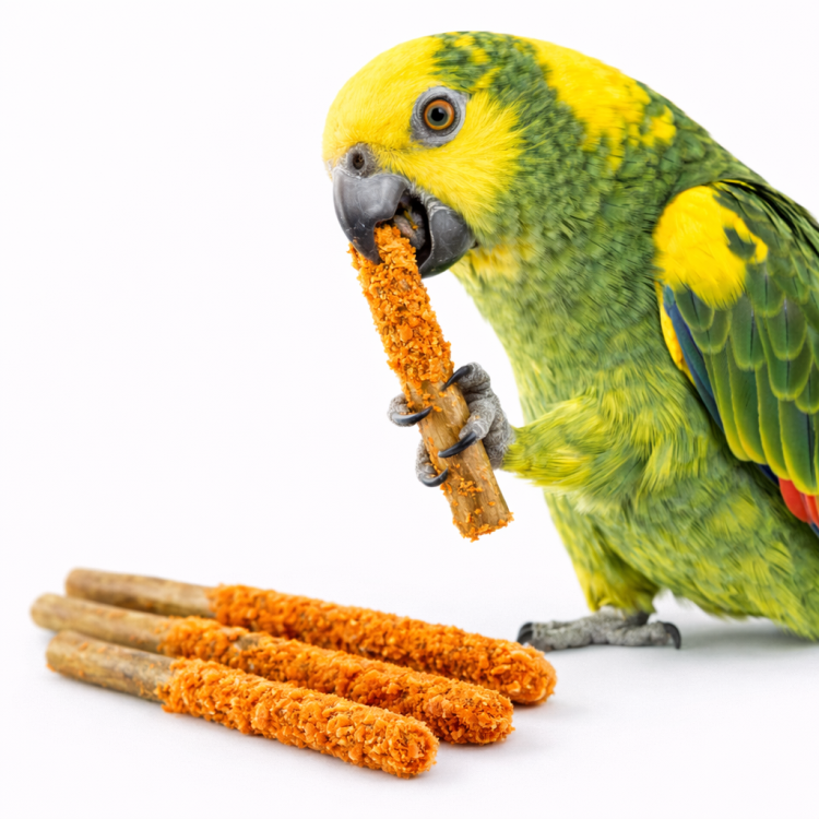 Paluszki z Marchewką - przekąska dla wszystkich papug od ParrotPlanet.pl
