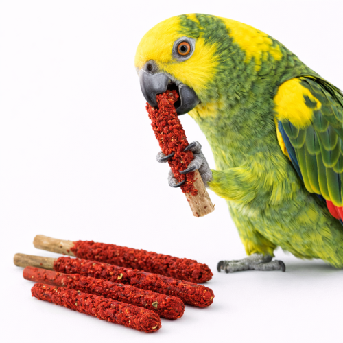 Paluszki z Buraczkiem - zdrowa przekąska dla wszystkich papug od ParrotPlanet.pl