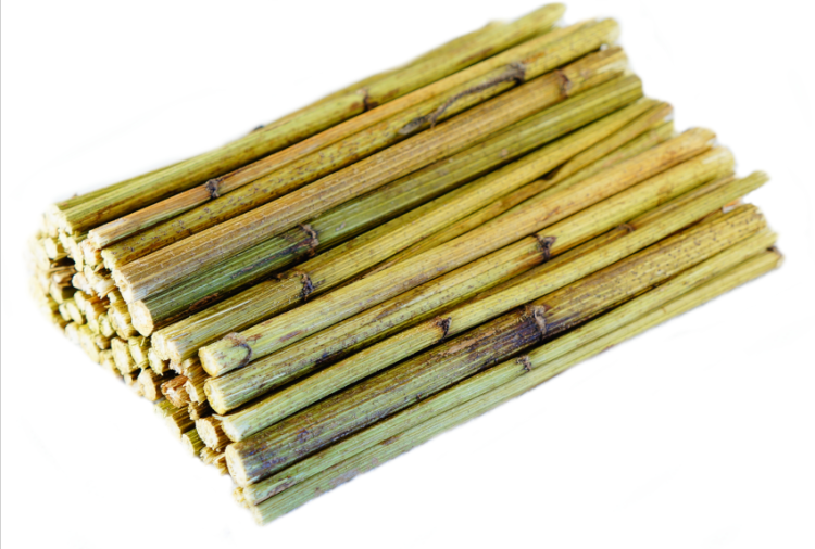 Branches de Topinambour – jouet naturel et friandise pour rongeurs et lapins 100 g de ParrotPlanet.fr