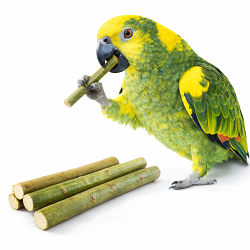 Gałązki Młodej Wierzby  - dla wszystkich papug 100g  od ParrotPlanet.pl