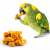 Chips de topinambour et carotte pour perruches - 60g, en-cas sain et savoureux  de ParrotPlanet.fr