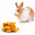 Croustilles de Topinambour et Carotte – friandise naturelle pour rongeurs 60 g deParrotPlanet.fr