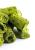 Croustilles de Topinambour et Persil – friandise naturelle pour rongeurs 60 g de Parrot Planet.fr