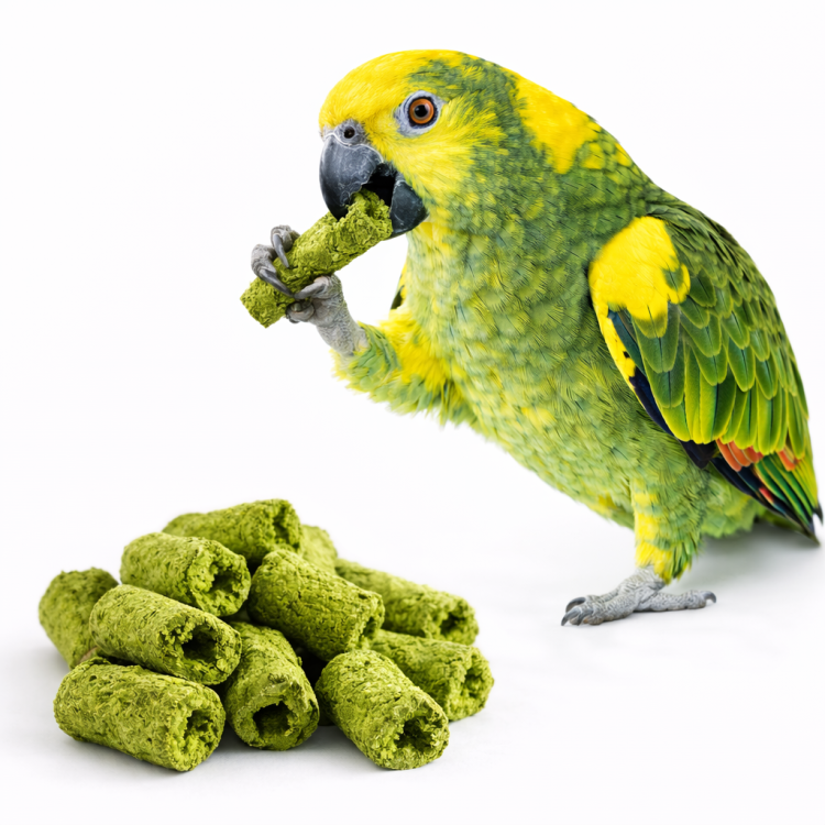 Chips de Topinambour et Persil pour Perroquets - Snack Sain 60g de ParrotPlanet.fr