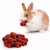 Croustilles de Topinambour et Betterave – friandise naturelle pour rongeurs 60 g de ParrotPlanet.fr