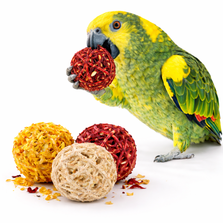 Balles XXL en Rotin avec Panais, Hibiscus et Calendula – friandise naturelle et jouet à tenir pour perroquets de ParrotPlanet.fr