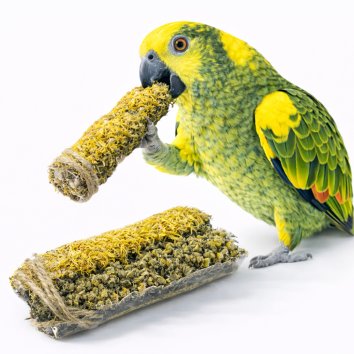Épis du Connaisseur aux Mauves, Calendula et Immortelle – épi naturel aux herbes pour perroquets de ParrotPlanet.fr