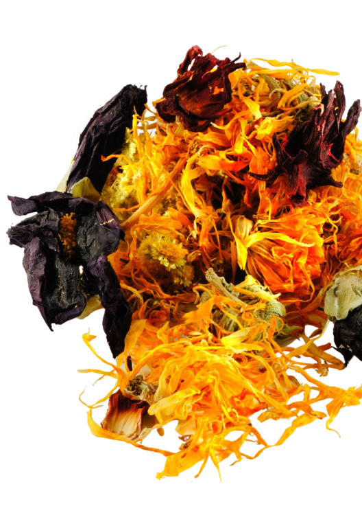 Délice Floral – mélange naturel de fleurs pour rongeurs 40 g de ParrotPlanet.fr