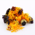 Délice Floral – mélange naturel de fleurs pour rongeurs 40 g de ParrotPlanet.fr