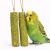Épi Céréales d’Été – épi naturel aux céréales pour perroquets de ParrotPlanet.fr