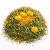 Herbes au Calendula et au Pissenlit – mélange naturel pour rongeurs 500 g de parrotPlanet.fr