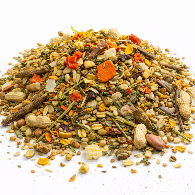 Festin complet pour rats et hamsters – mélange naturel de plantes, graines et friandises | 1500 g de ParrotPlanet.fr
