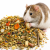Festin complet pour rats et hamsters – mélange naturel de plantes, graines et friandises | 1500 g de ParrotPlanet.fr