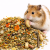 Festin complet pour rats et hamsters – mélange naturel de plantes, graines et friandises | 500 g de ParrotPlanet.fr