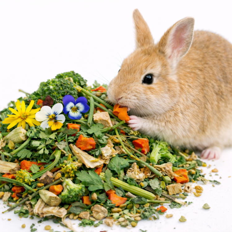 Friandise végétale pour lapins et cochons d’Inde – mélange naturel de légumes et d’herbes | 400 g de ParrotPlanet.fr