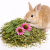 Herbes de la campagne pour lapins – friandise pour lapins | 100 g de ParrotPlanet.fr
