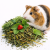 Herbes de la campagne pour cochons d’Inde – mélange naturel d’herbes pour cochons d’Inde | 100 g de ParrotPlanet.fr