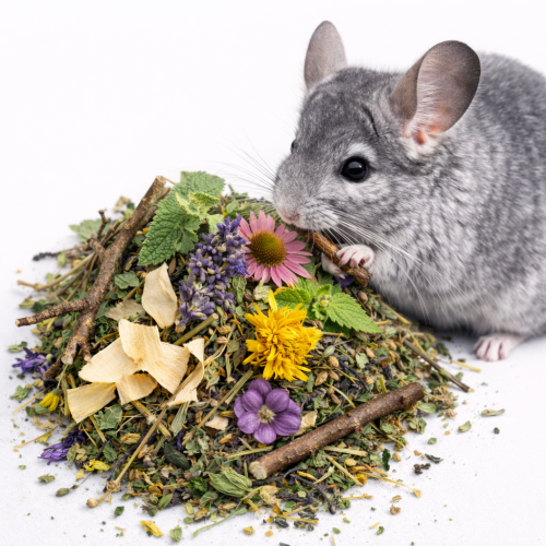 Herbes et branches pour chinchillas et octodons – friandise | 100 g de ParrotPlanet.fr