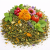 Herbes et Branches pour Lapin – mélange naturel pour l’alimentation 100 g de ParrotPlanet.fr