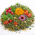 Herbes et Branches pour Lapin – mélange naturel pour l’alimentation 100 g de ParrotPlanet.fr