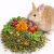 Herbes et Branches pour Lapin – mélange naturel pour l’alimentation 100 g de ParrotPlanet.fr
