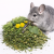 Herbes de la campagne pour chinchillas et octodons – friandise | 100 g de ParrotPlanet.fr