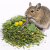 Herbes de la campagne pour chinchillas et octodons – friandise | 400 g de ParrotPlanet.fr