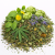 Herbes apaisantes pour chinchillas et octodons – mélange naturel calmant | 100 g de ParrotPlanet.fr