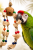Zaczarowany Kokos - zabawka dla wszystkich papug od ParrotPlanet.pl