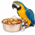 Miseczka metalowa ze stali nierdzewnej M wieszana - 600ml od ParrotPlanet.pl