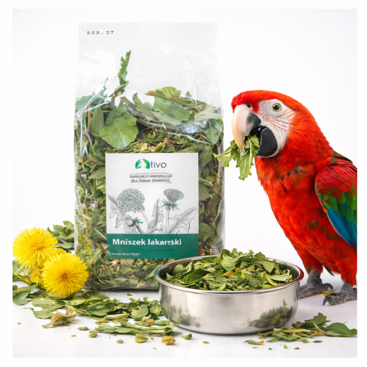 Feuilles de Pissenlit TIVO 600g - Supplément diététique naturel pour perroquets de ParrotPlanet.fr