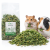 Herbe de topinambour pour rongeurs – complément végétal naturel | 150 g de ParrotPlanet.fr
