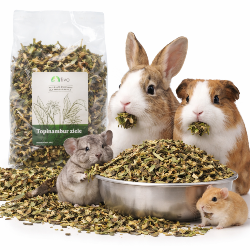 Herbe de topinambour pour rongeurs – complément végétal naturel | 150 g de ParrotPlanet.fr
