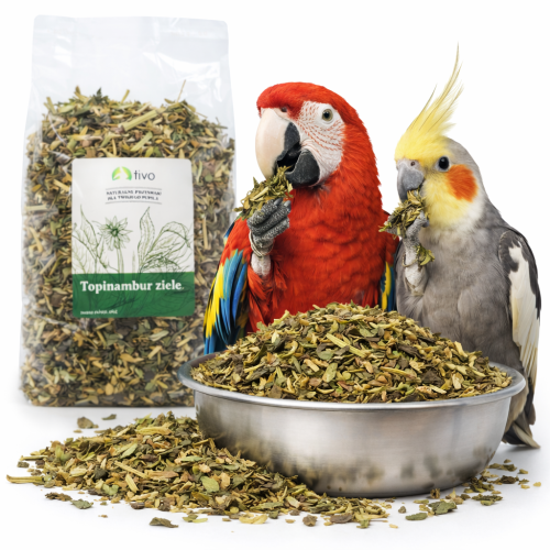 TIVO - Topinambur Ziele dla wszystkich papug 150g od ParrotPlanet.pl
