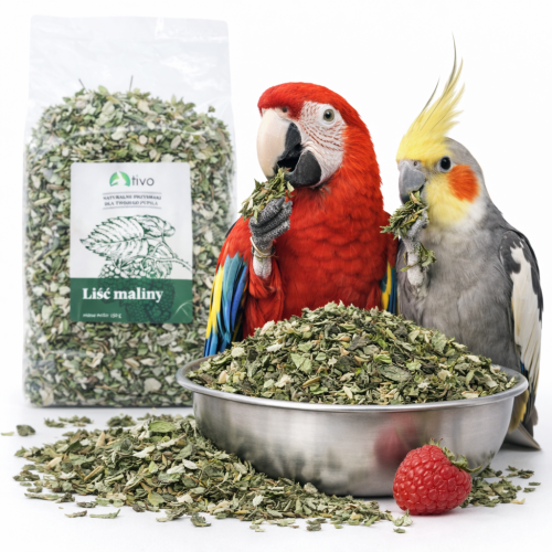 TIVO - Liść maliny dla wszystkich papug 100g od ParrotPlanet.pl