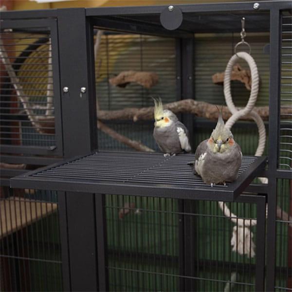 Montana Palace II Dark – grande cage pour petits et moyens perroquets ParrotPlanet.fr