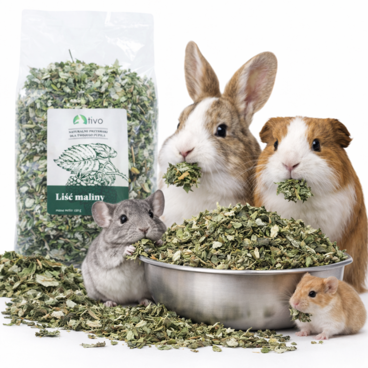 Feuilles de framboisier pour rongeurs – complément végétal naturel | 150 g de ParrotPlanet.fr