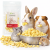 Ananas lyophilisé croustillant pour rongeurs – friandise naturelle aux fruits | 25 g de ParrotPlanet.fr