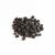 Aronie croustillante pour rongeurs – friandise naturelle aux fruits | 70 g de ParrotPlanet.fr