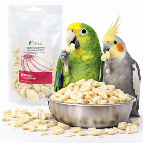 Chrupiący banan liofilizowany dla papug – naturalny przysmak owocowy | 30 g od ParrotPlanet.pl