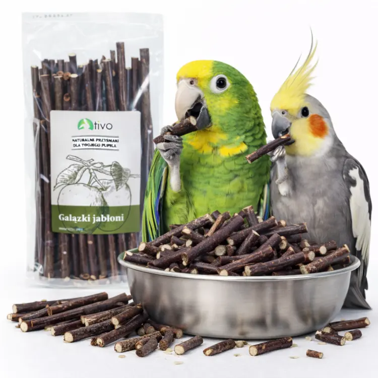 TIVO Gałązki jabłoni dla papug – naturalny gryzak i element foragingu | 100 g  od ParrotPlanet.pl