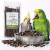 TIVO Gałązki gruszy dla papug – naturalny gryzak i element foragingu | 100 g od ParrotPlanet.pl