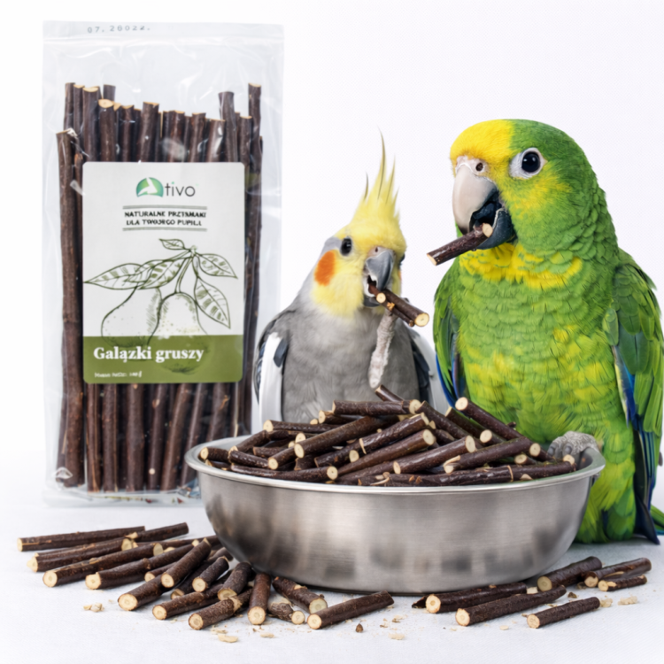 TIVO Gałązki gruszy dla papug – naturalny gryzak i element foragingu | 100 g od ParrotPlanet.pl