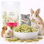Kiwi lyophilisé croustillant pour rongeurs – friandise naturelle aux fruits | 20 g de ParrotPlanet.fr