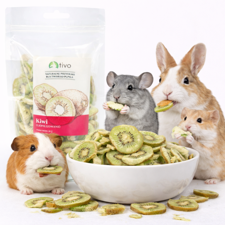 Kiwi lyophilisé croustillant pour rongeurs – friandise naturelle aux fruits | 20 g de ParrotPlanet.fr