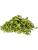 Poivron vert lyophilisé pour rongeurs – complément végétal naturel | 20 g de ParrotPlanet.fr