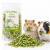 Poivron vert lyophilisé pour rongeurs – complément végétal naturel | 20 g de ParrotPlanet.fr