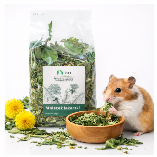 Feuilles de pissenlit TIVO pour tous les rongeurs | 100 g de ParrotPlanet.fr
